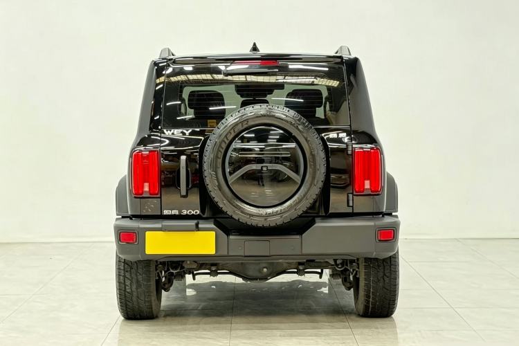 Used Tank 300 2021 Off-Road Edition 2.0T Challenger Rear