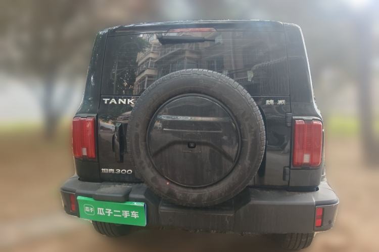 Used Tank 300 2021 City Edition 2.0T Essential Model Rear