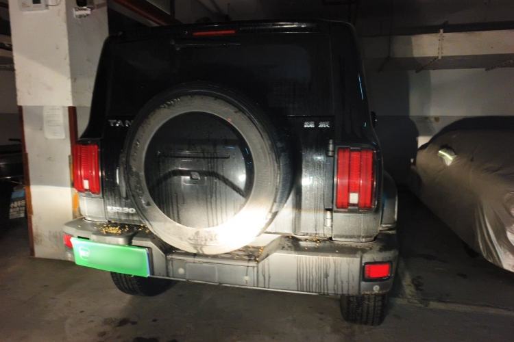 Used Tank 300 2021 Explorer 2.0T Off-Road Edition Rear