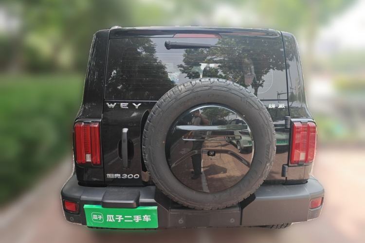 Used Tank 300 2021 Off-Road Edition 2.0T Conqueror Rear