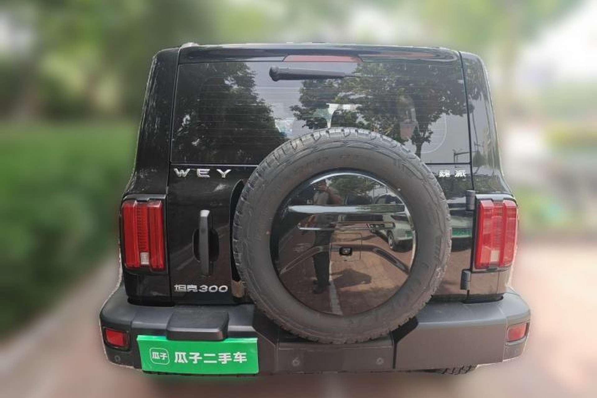 Used Tank 300 2021 Off-Road Edition 2.0T Conqueror Rear