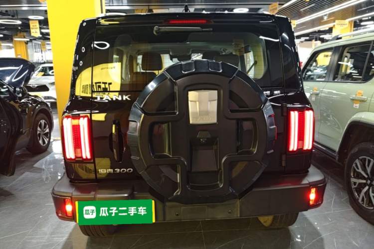 Used Tank 300 2021 City Edition 2.0T—Truly Stylish Rear
