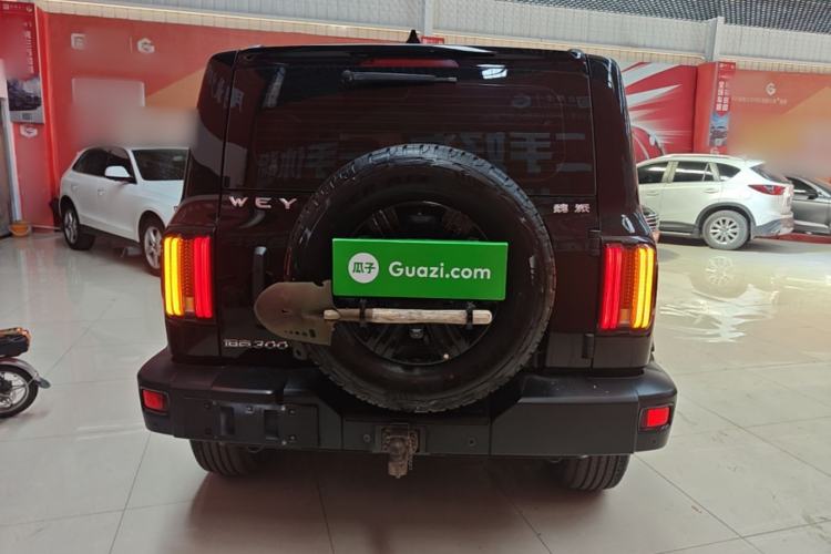 Used Tank 300 2021 Off-Road Edition 2.0T Challenger Rear