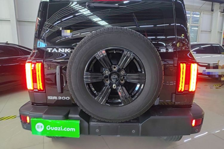 Used Tank 300 2021 Off-Road Edition 2.0T Challenger Rear