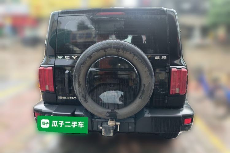 Used Tank 300 2021 Off-Road Edition 2.0T Conqueror Rear