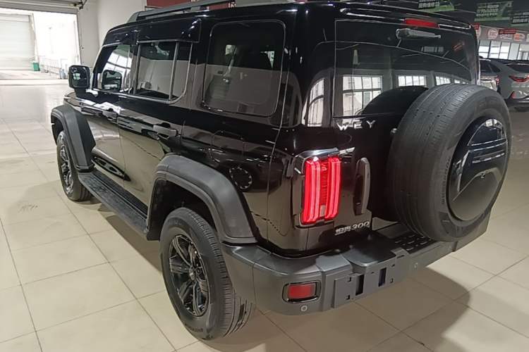 Used Tank 300 2021 Off-Road Edition 2.0T Conqueror Rear Left 45 Deg