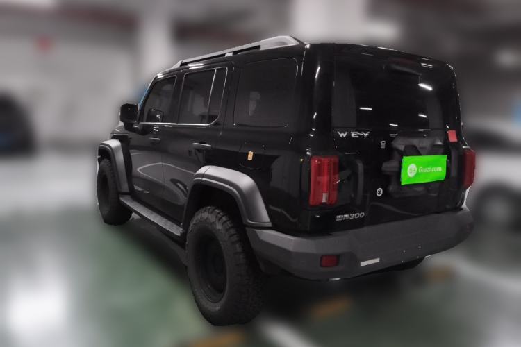 Used Tank 300 2021 Off-Road Edition 2.0T Conqueror Rear Left 45 Deg