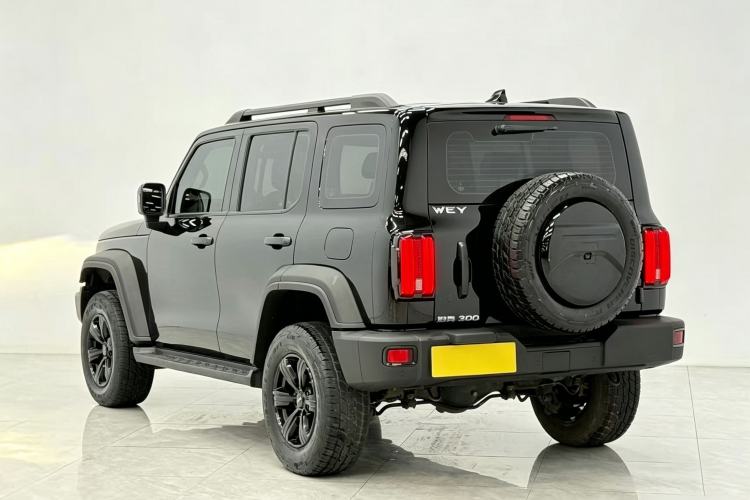 Used Tank 300 2021 Off-Road Edition 2.0T Challenger Rear Left 45 Deg