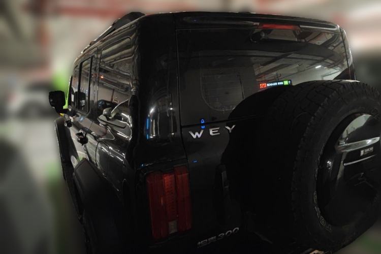 Used Tank 300 2021 Off-Road Edition 2.0T Challenger Rear Left 45 Deg
