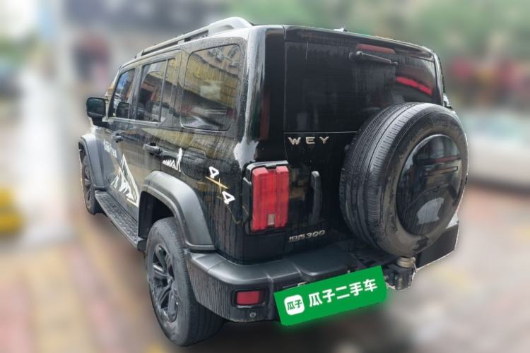 Used Tank 300 2021 Off-Road Edition 2.0T Conqueror Rear Left 45 Deg