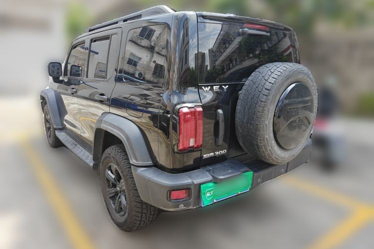 Used Tank 300 2021 Off-Road Edition 2.0T Conqueror Rear Left 45 Deg