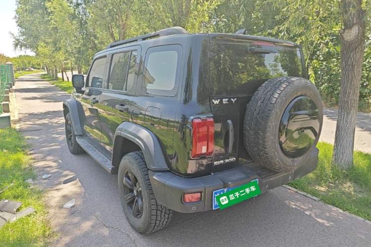 Used Tank 300 2021 Off-Road Edition 2.0T Conqueror Rear Left 45 Deg