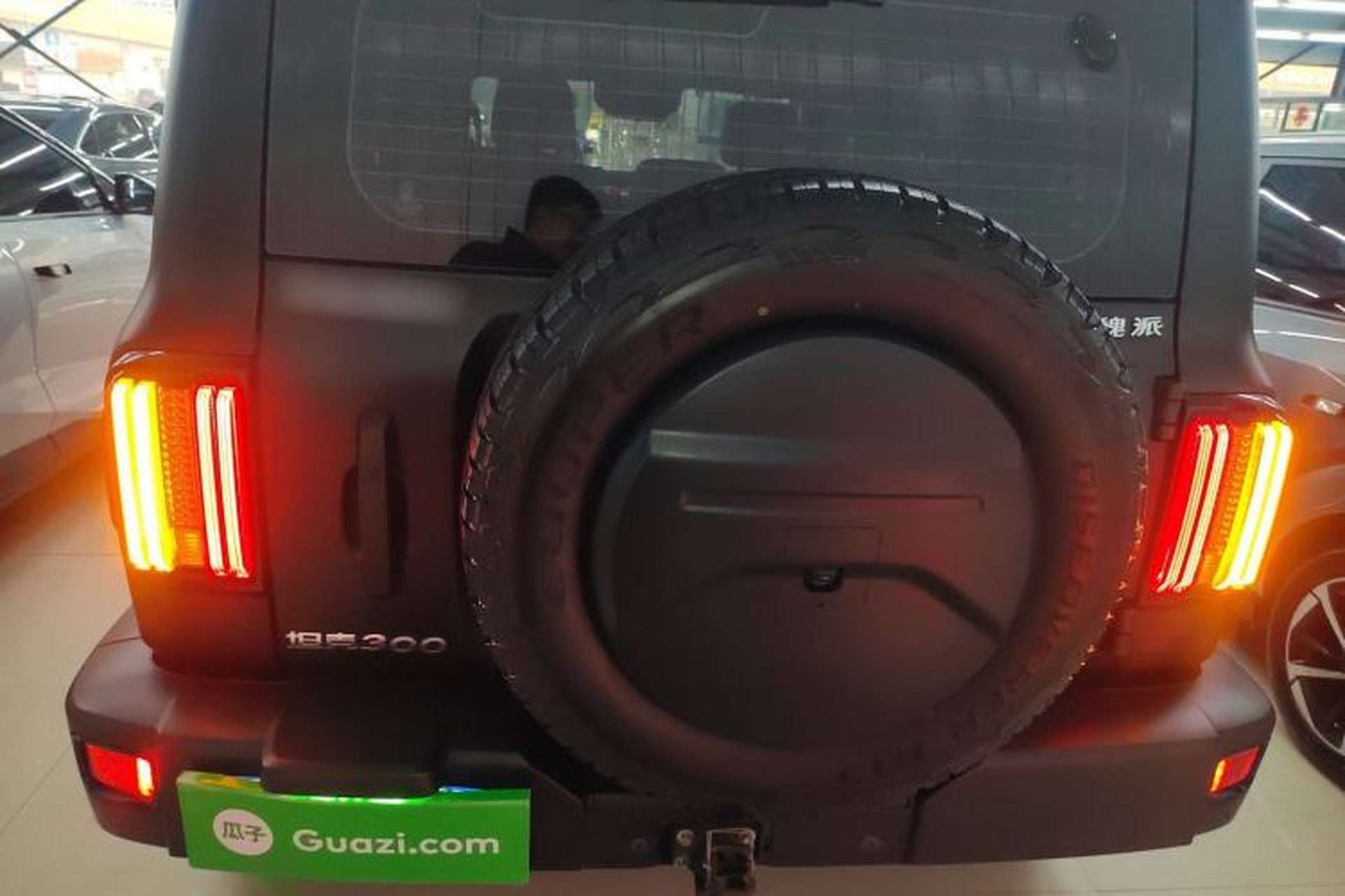 Used Tank 300 2021 Off-Road Edition 2.0T Conqueror Rear