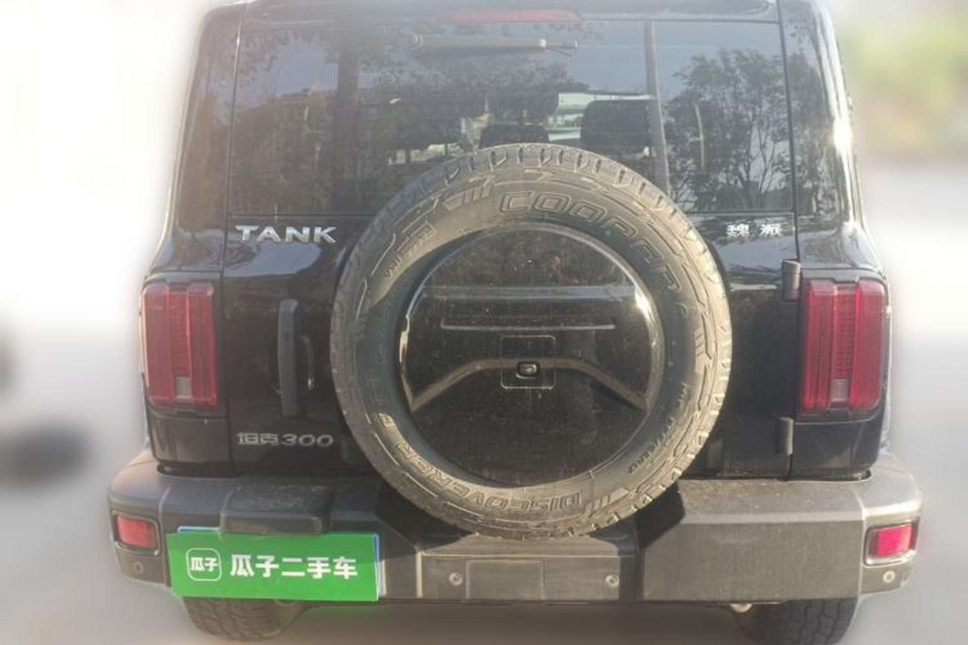 Used Tank 300 2021 Off-Road Edition 2.0T Conqueror Rear