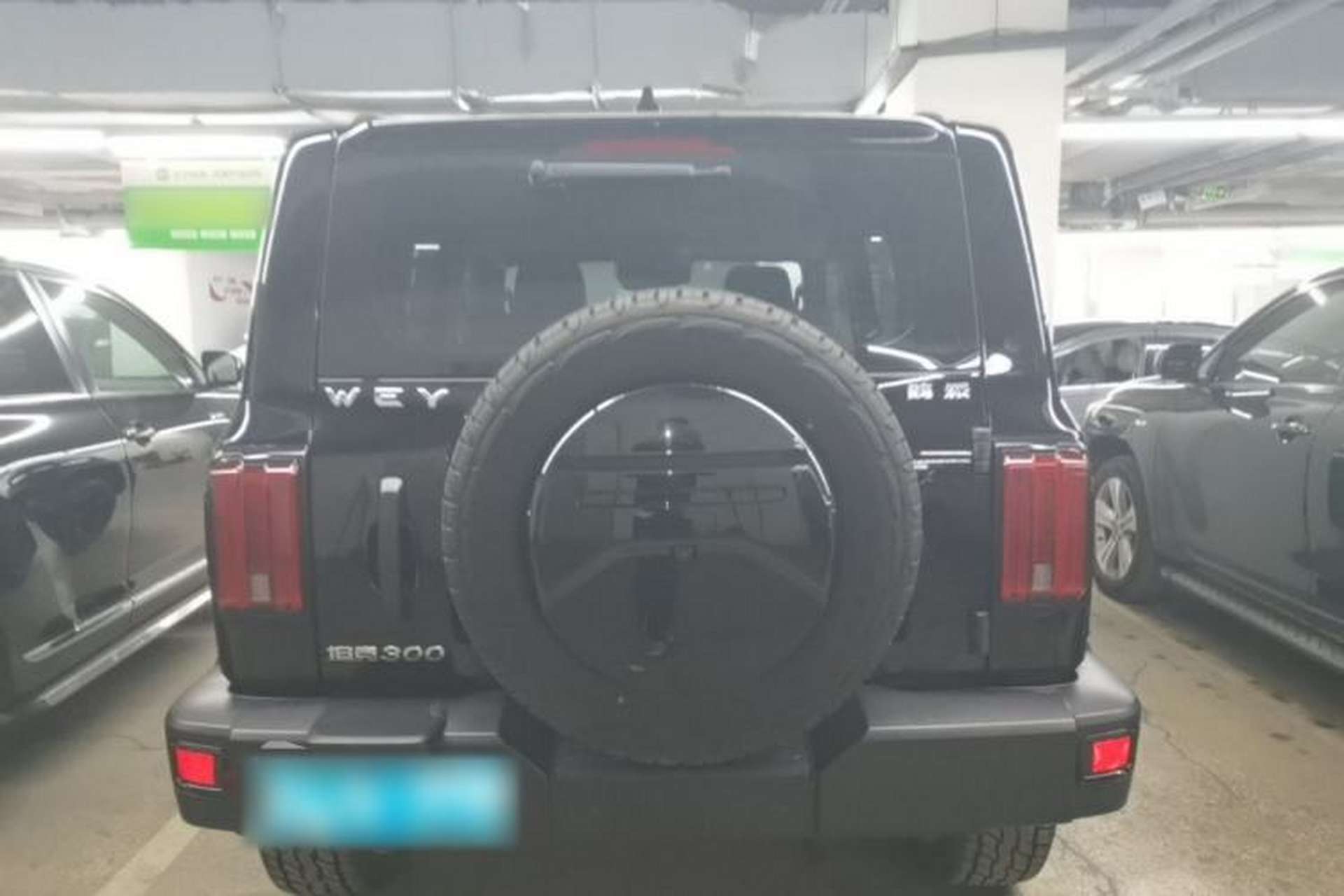 Used Tank 300 2021 Off-Road Edition 2.0T Conqueror Rear