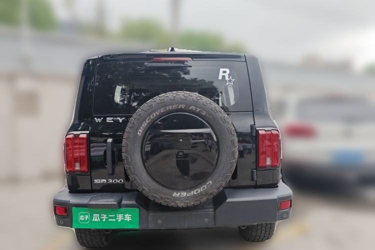 Used Tank 300 2021 Off-Road Edition 2.0T Challenger Rear