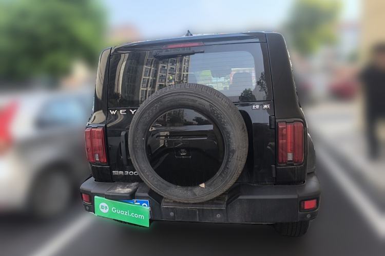 Used Tank 300 2021 Off-Road Edition 2.0T Conqueror Rear