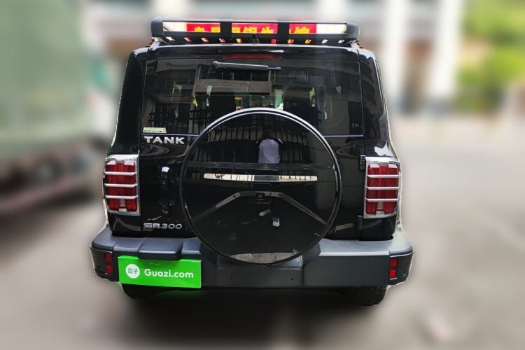 Used Tank 300 2021 City Edition 2.0T Essential Model Rear