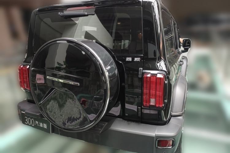 Used Tank 300 2021 Off-Road Edition 2.0T Conqueror Rear