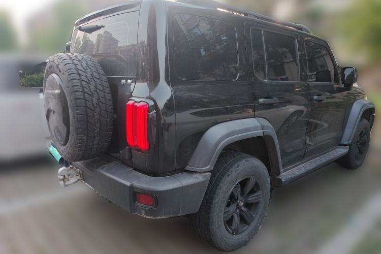 Used Tank 300 2021 2.0T Monet Tribute Limited Edition Rear Right 45 Deg