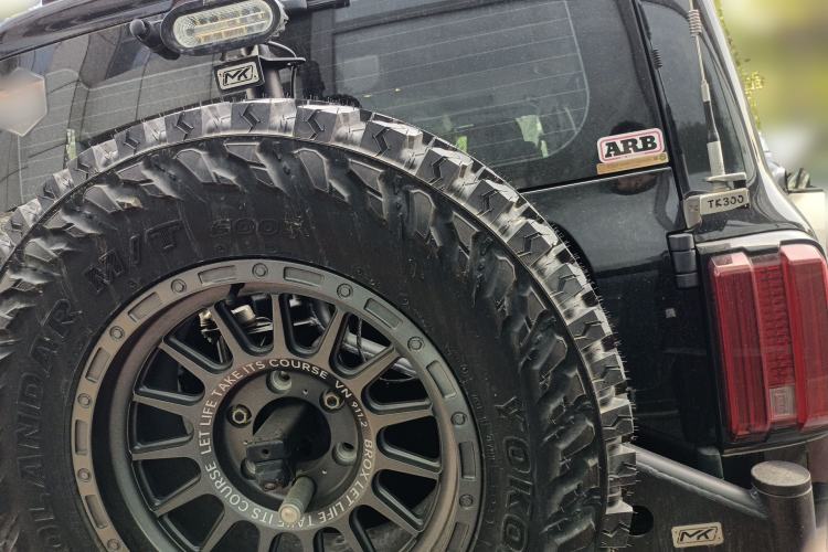 Used Tank 300 2021 Off-Road Edition 2.0T Conqueror Rear
