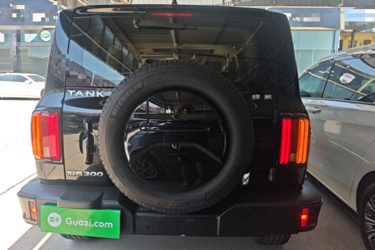 Used Tank 300 2021 City Edition 2.0T—Truly Stylish Rear