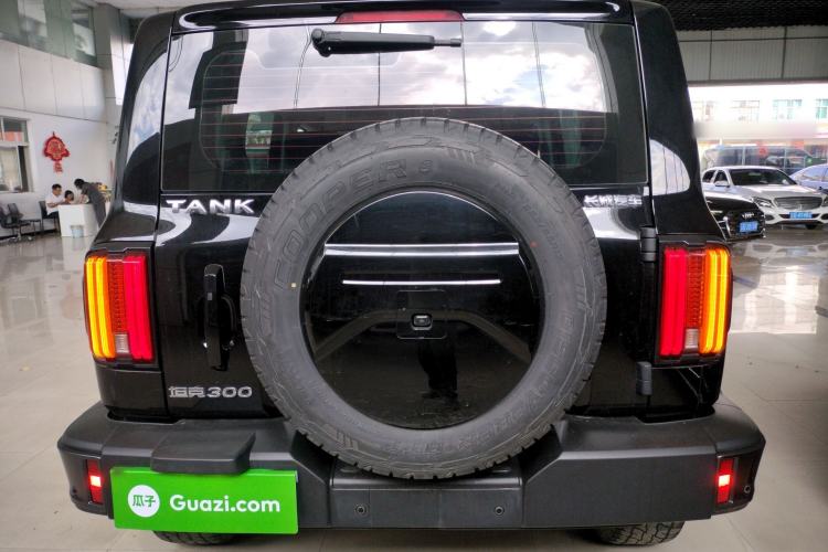 Used Tank 300 2021 City Edition 2.0T Essential Model Rear