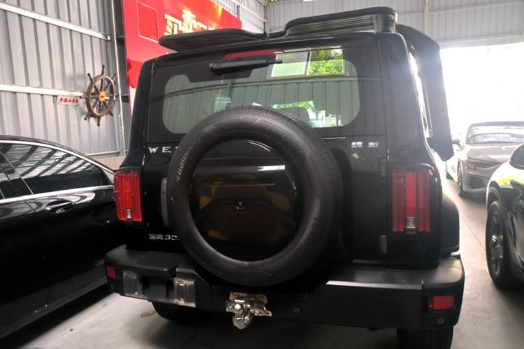 Used Tank 300 2021 Off-Road Edition 2.0T Conqueror Rear