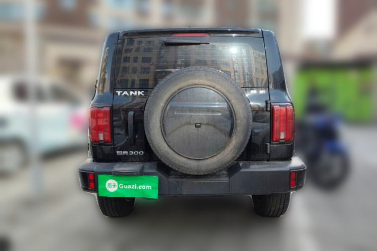 Used Tank 300 2021 City Edition 2.0T—Truly Stylish Rear