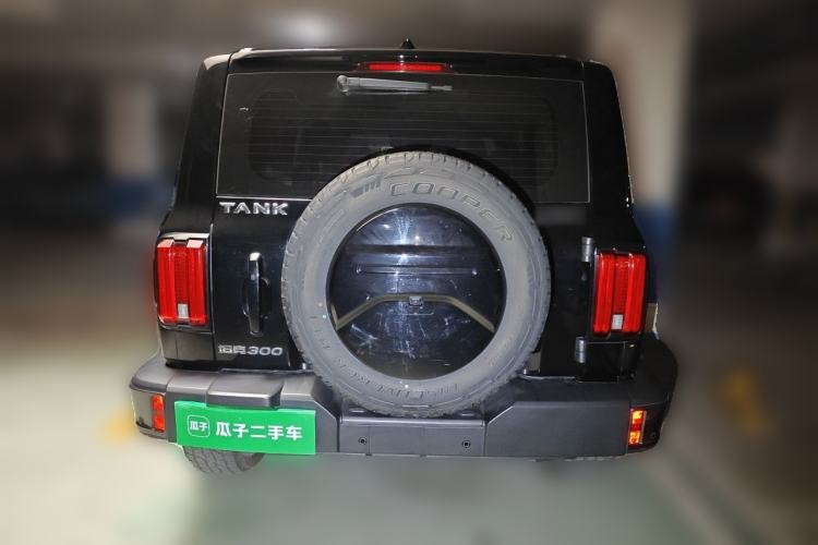 Used Tank 300 2021 City Edition 2.0T—Truly Stylish Rear