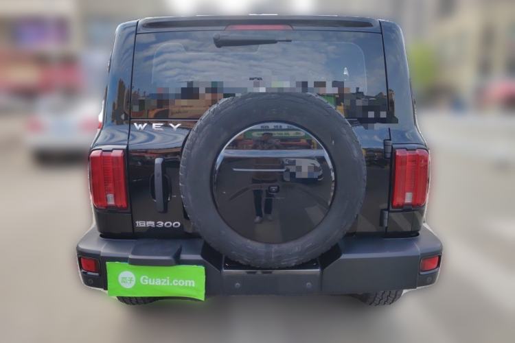 Used Tank 300 2021 Off-Road Edition 2.0T Conqueror Rear