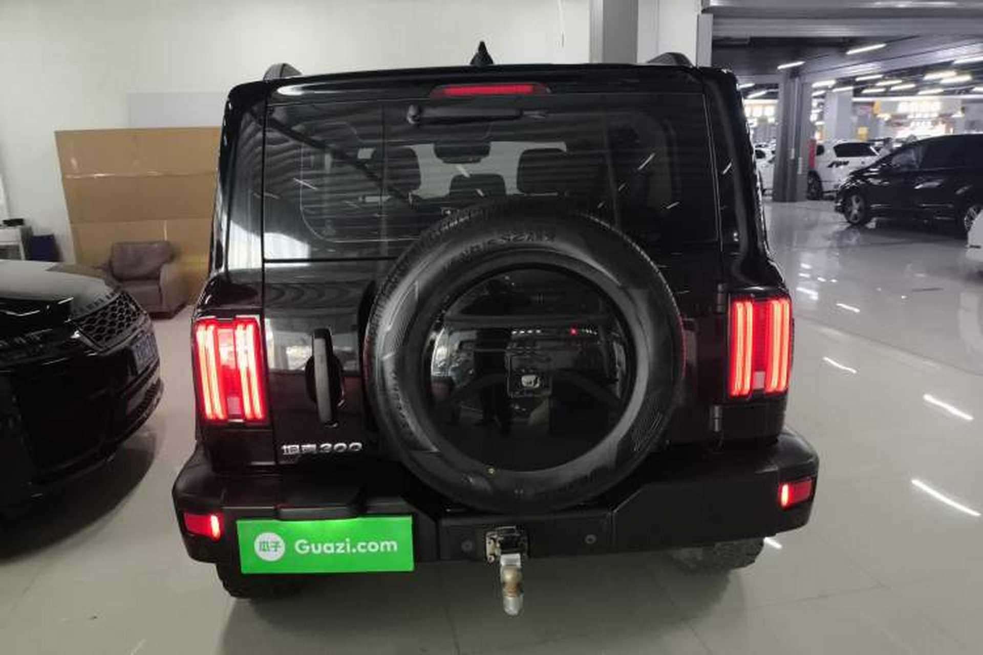 Used Tank 300 2021 Off-Road Edition 2.0T Conqueror Rear