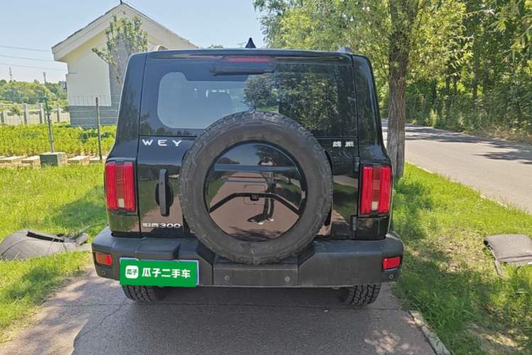 Used Tank 300 2021 Off-Road Edition 2.0T Conqueror Rear