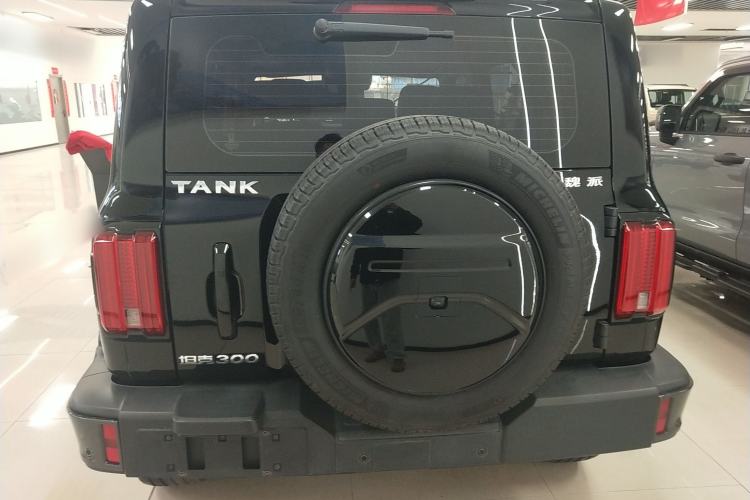 Used Tank 300 2021 City Edition 2.0T—Truly Stylish Rear