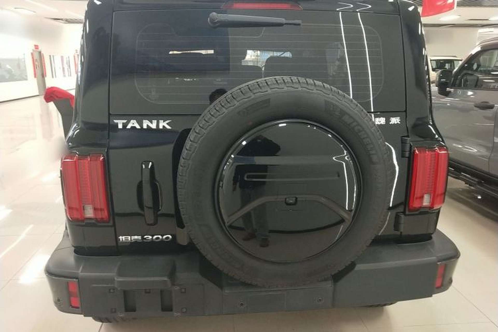 Used Tank 300 2021 City Edition 2.0T—Truly Stylish Rear