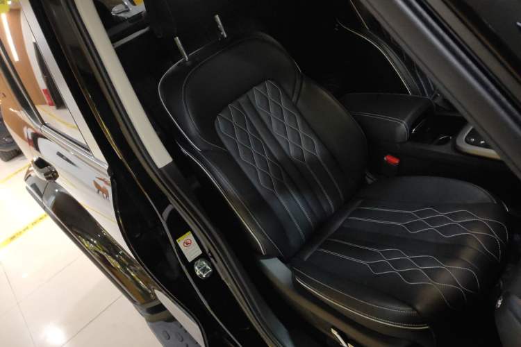 Used Tank 300 2021 City Edition 2.0T My Vision Model Right Front Seat