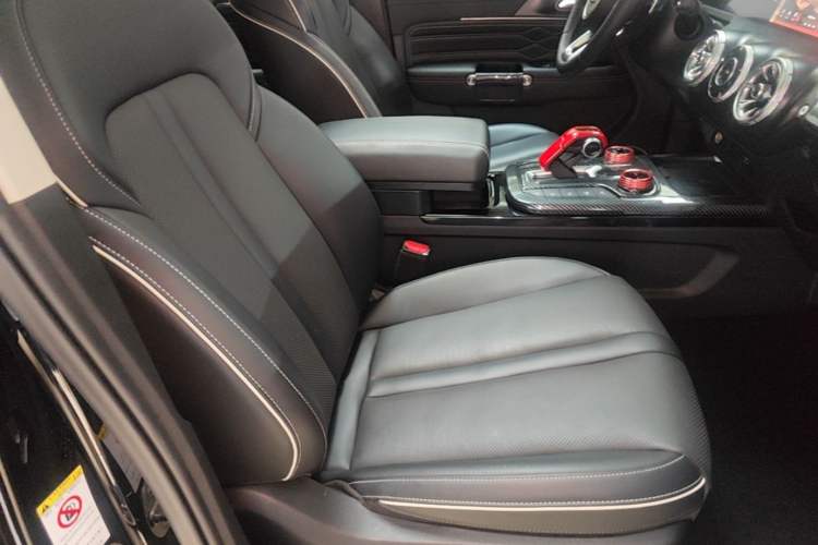 Used Tank 300 2021 City Edition 2.0T—Truly Stylish Right Front Seat