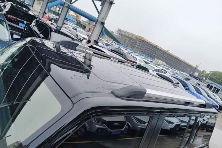 Used Tank 300 2021 City Edition 2.0T—Truly Stylish Roof