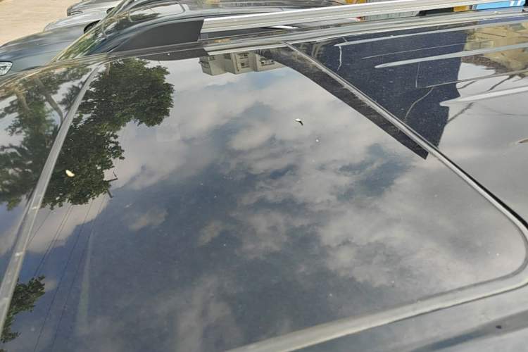 Used Tank 300 2021 City Edition 2.0T—Truly Stylish Roof
