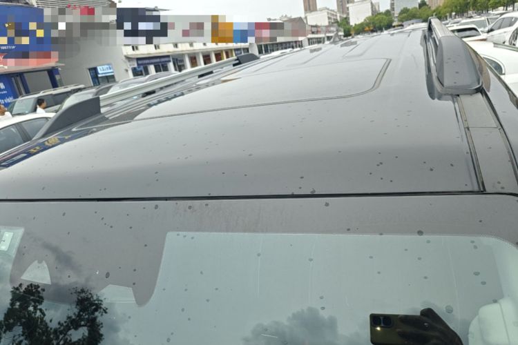 Used Tank 300 2021 City Edition 2.0T—Truly Stylish Roof