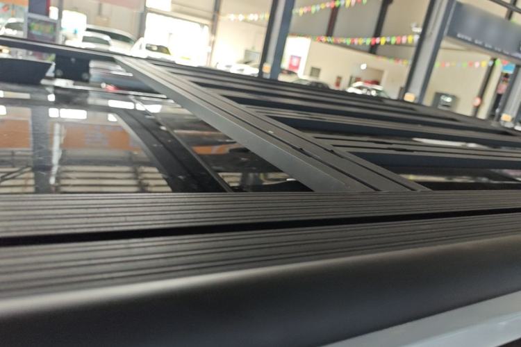 Used Tank 300 2021 City Edition 2.0T—Truly Stylish Roof