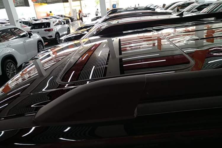 Used Tank 300 2021 Off-Road Edition 2.0T Conqueror Roof