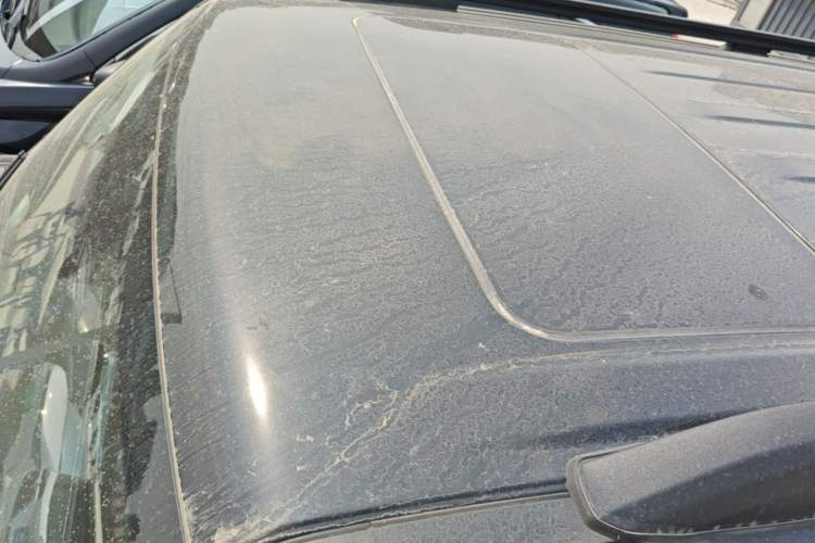Used Tank 300 2021 Off-Road Edition 2.0T Challenger Roof