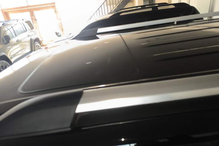Used Tank 300 2021 City Edition 2.0T—Truly Stylish Roof