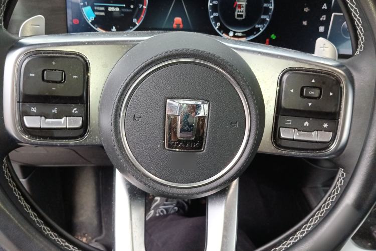 Used Tank 300 2021 City Edition 2.0T—Truly Stylish Steering Wheel