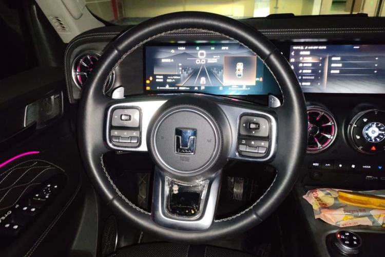 Used Tank 300 2021 Off-Road Edition 2.0T Conqueror Steering Wheel