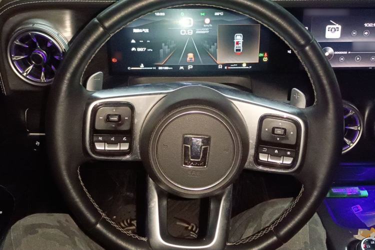 Used Tank 300 2021 Off-Road Edition 2.0T Conqueror Steering Wheel