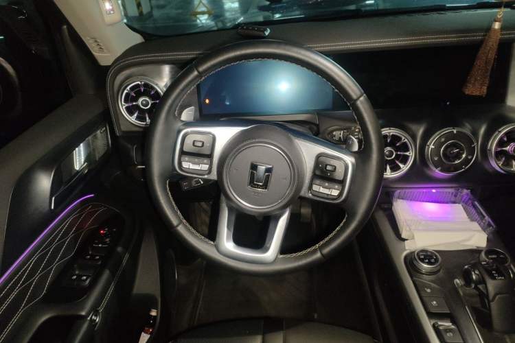 Used Tank 300 2021 City Edition 2.0T Essential Model Steering Wheel