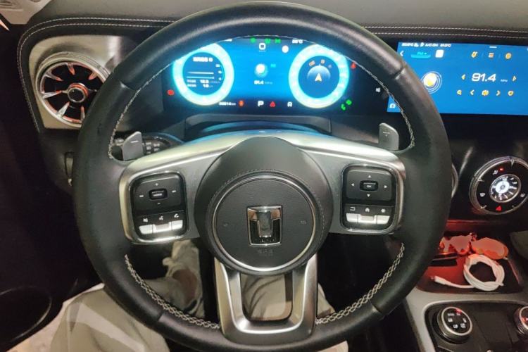 Used Tank 300 2021 City Edition 2.0T—Truly Stylish Steering Wheel