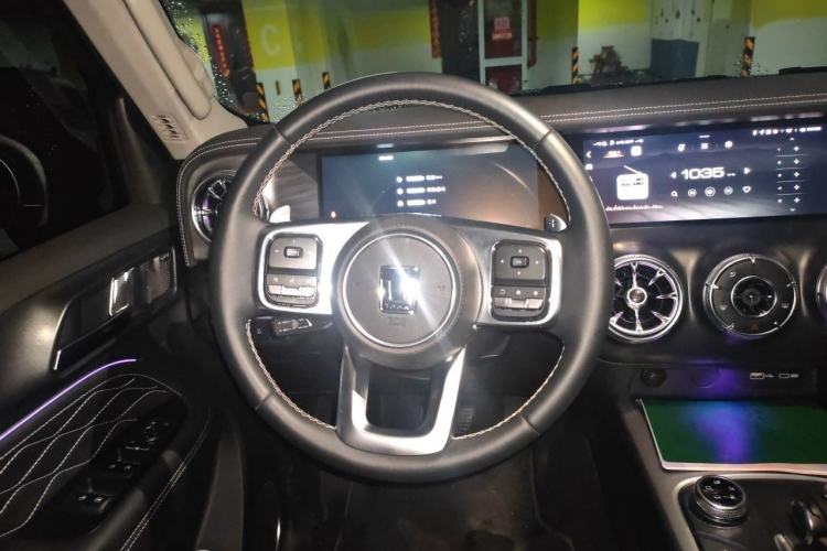 Used Tank 300 2021 Off-Road Edition 2.0T Conqueror Steering Wheel